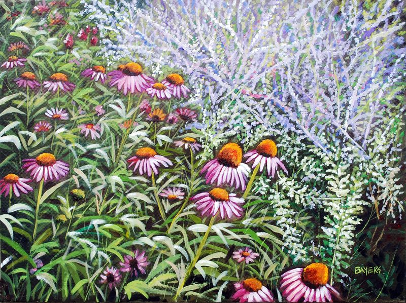 Pink cone flowers with purple flowers